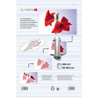 Olympia Δίφυλλο Πλαστικοποίησης Din A3 80 microns 25τμχ 9182
