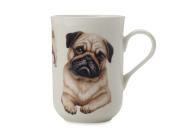 Maxwell & Williams Κούπα "Pug-Κατοικίδια Σκυλιά" 300ml. Cashmere Bone China