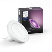 Philips Hue Bloom