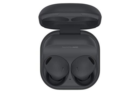 Samsung Galaxy Buds2 Pro Graphite