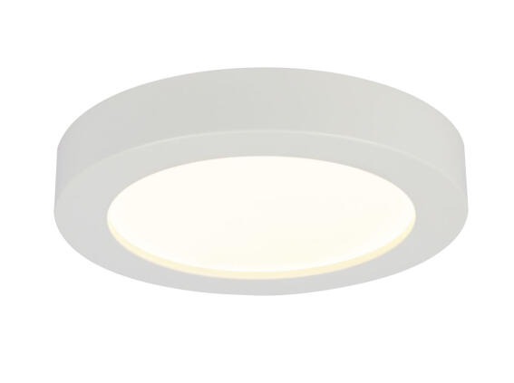 Globo Lighting Πλαφονιέρες PAULA μονόφωτο λευκό  1xLED