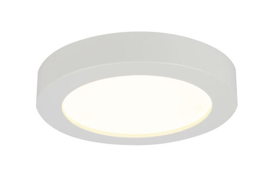 Globo Lighting Πλαφονιέρες PAULA μονόφωτο λευκό  1xLED