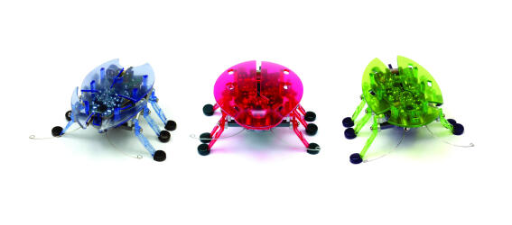 HEXBUG Beetle