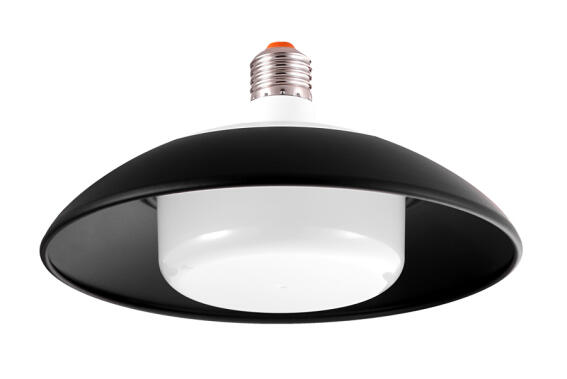 LIPER LED λάμπα-φωτιστικό LPQP40W Φ19 40W 4000K E27