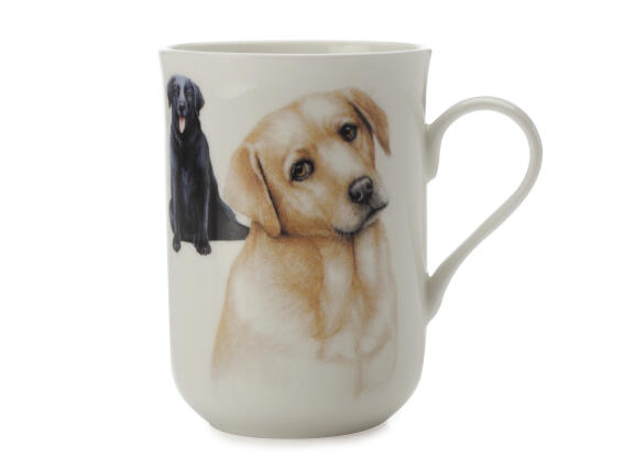 Maxwell & Williams Κούπα "Labrador-Κατοικίδια Σκυλιά" 300ml. Cashmere Bone China