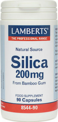 Lamberts Silica 200mg Οξείδιο του Πυριτίου 90 Κάψουλες